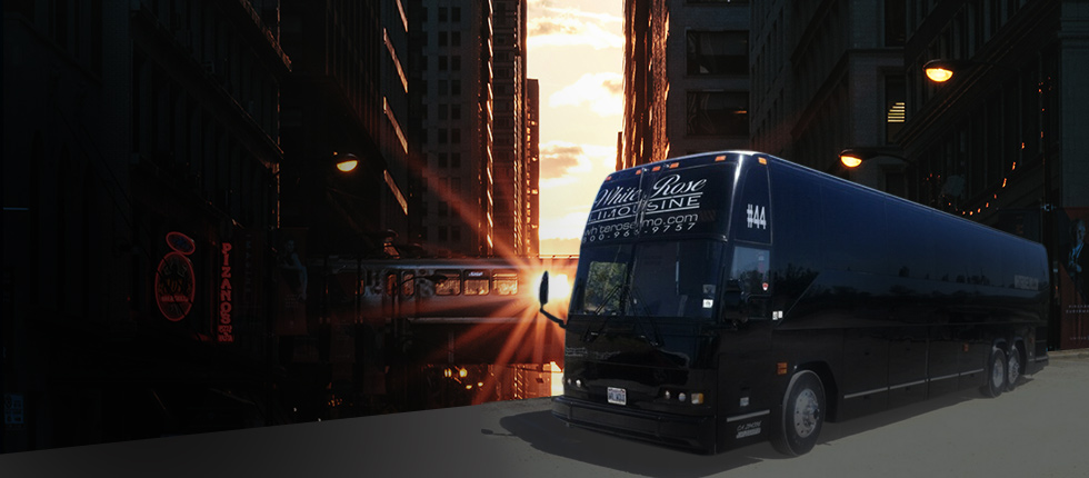 White Rose Limo — luxury transportation booking